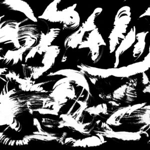 Otto Frühwach  "Die Sphärenschwestern und ihre Freunde"
